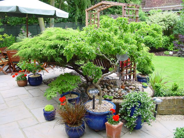 ../fg-gardens11/6 Tabor_5_11.jpg